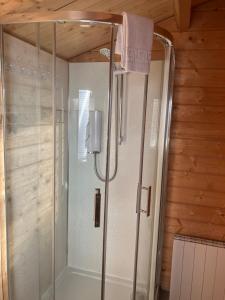 a shower with a glass door in a bathroom at Log Cabin in the City with hot tub in Culloden