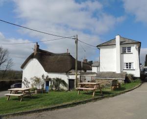 a thatched cottage with picnic tables in front of it at The Cottage on the Green in Winkleigh