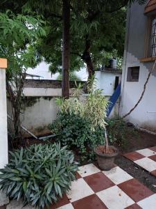 a garden with plants on a checkered floor at Full Moon House Tiruvannamalai in Tiruvannāmalai
