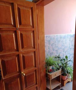 a wooden door in a room with potted plants at Habitaciones Gioly in Puerto del Rosario