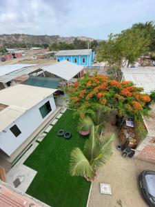 an overhead view of a yard with orange flowers and a house at CASA VILLA SOL in Tumbes