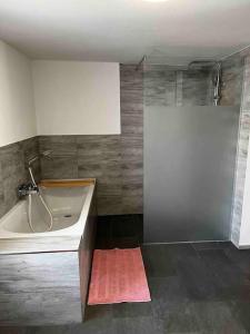 a bathroom with a bath tub and a sink at Franzis Landhaus in Singen
