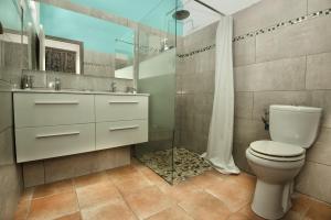uma casa de banho com um WC e um chuveiro em Cœur de Diams em Le Diamant