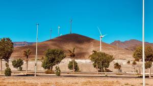 una collina con mulini a vento e palme di fronte a una montagna di Casa de Las Flores a Cruce de Arinaga