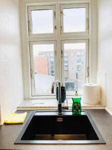 un fregadero frente a una ventana en Scandinavian Apartment Hotel - Sønderbro - Central 2 room apartment, en Horsens