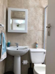 a bathroom with a sink and a toilet and a mirror at Shearwater 106 in Sedgefield