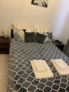 um quarto com uma cama com duas toalhas em Centrum Apartment Lipowa 12 em Bialystok