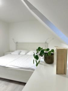Un dormitorio blanco con una cama y una planta sobre una mesa en Apartment Nela, en Pavčina Lehota