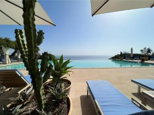 Bazén v ubytování Le Capase Resort Salento nebo v jeho okolí + 37 fotografií