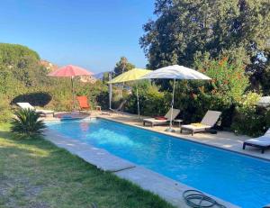 a swimming pool with two umbrellas and some chairs at Rez de chaussée villa avec piscine in Piana