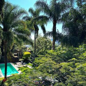 un jardin avec des palmiers et une piscine dans l'établissement Hospedaje Casa Teotleco, à Tepoztlán