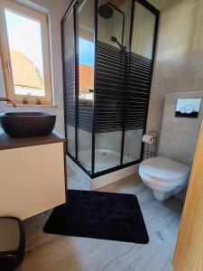 a bathroom with a glass shower and a toilet at BAJKA-Domek na wsi in Domaszków