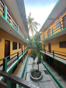 un couloir d'un immeuble avec un palmier au milieu dans l'établissement Hotel Posada Playa Manzanillo, à Puerto Escondido