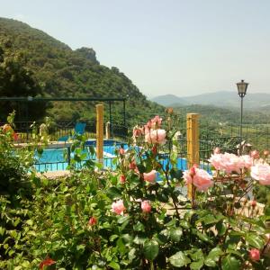uma vista para uma piscina com rosas rosas em Las Cuevas de El Bosque em El Bosque