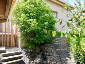 um jardim com uma árvore e um passadiço de pedra em Bioappartement mit Garten, Waldnähe, Blick ins Inntal 100m em Simbach am Inn