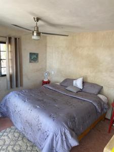 a bedroom with a large bed in a room at Casitas Vista del Aguila in Todos Santos +42 photos