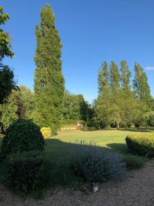 einen Garten mit einem großen Baum und einigen Büschen in der Unterkunft Maison Angulus Ridet in Montcresson