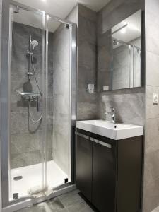 ein Bad mit einer Dusche, einem Waschbecken und einer Dusche in der Unterkunft Hostel des Combes in Les Combes