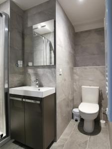 ein Badezimmer mit einem WC, einem Waschbecken und einem Spiegel in der Unterkunft Hostel des Combes in Les Combes