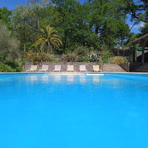 a large swimming pool with chairs and a palm tree at Chateau de Bézyl in Sixt-sur-Aff