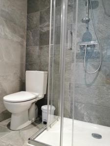 ein Bad mit einem WC und einer Dusche in der Unterkunft Hostel des Combes in Les Combes
