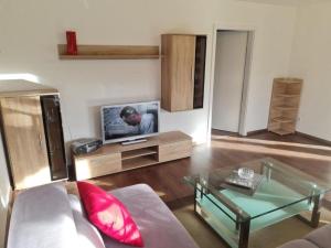 ein Wohnzimmer mit einem Sofa und einem TV in der Unterkunft Ferienwohnung Dörnbergblick Klinge in Calden