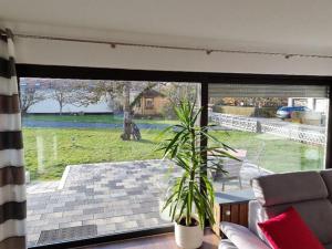 ein Wohnzimmer mit einem großen Fenster mit einer Pflanze in der Unterkunft Ferienwohnung Dörnbergblick Klinge in Calden