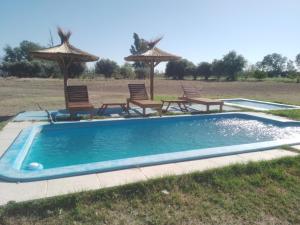 a swimming pool with chairs and umbrellas in a field at CABAÑAS LA PILARICA in San Rafael