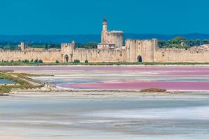 um grande castelo com lagos de sal cor-de-rosa à sua frente em CHARMANT STUDIO INDEPENDANT PROCHE MER parking privé em Mireval