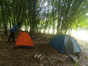 a man standing next to a tent in a bamboo forest at Ferme Yaka YALE in Palimé
