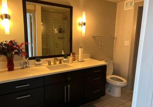 ein Bad mit einem Waschbecken und einem WC in der Unterkunft Best area of Houston, TX. (Midtown Area) in Houston