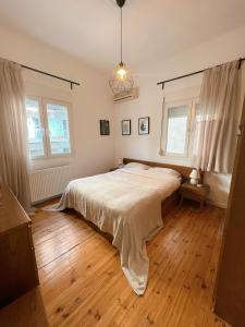 塞薩羅尼基的住宿－Nomas Skg Apartment，一间卧室设有一张大床,铺有木地板。