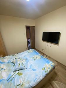 Schlafzimmer mit einem Bett und einem Flachbild-TV in der Unterkunft Apartament regim hotelier Deva in Deva