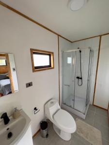 een badkamer met een douche, een toilet en een wastafel bij Siempre Verde in Puerto Tranquilo