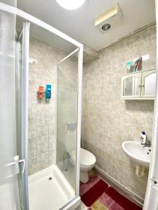 a bathroom with a shower and a toilet and a sink at Ground Floor One Bed Studio In London in London