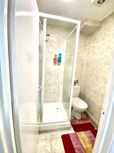 a bathroom with a shower and a toilet at Ground Floor One Bed Studio In London in London
