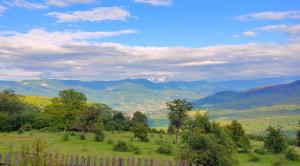 uma vista para um campo verde com montanhas ao fundo em Kanach tun em Yenokavan