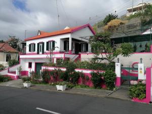 une maison rose et blanche avec des plantes et des fleurs dans l'établissement Westerland House, à Ribeira Brava