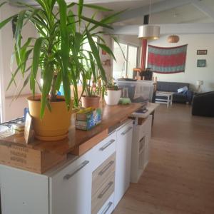 Η κουζίνα ή μικρή κουζίνα στο Maison avec jardin - 7 pers +10 φωτογραφίες