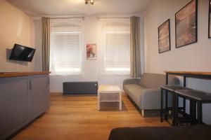 a living room with a couch and a tv at Apartament przy Kazimierza in Zielona Góra
