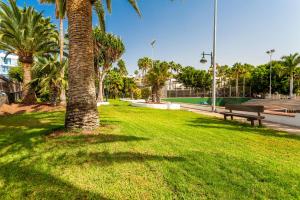 un parco con panchina e palme di Blue Volcano-pool, gym and activities in Sport Center Fariones included a Puerto del Carmen