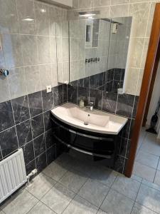 uma casa de banho com um lavatório e um espelho em Le Nid Du Moulin em Batzendorf