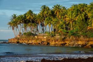 un grupo de palmeras en una playa rocosa en Chalé Aroeira Taiba, en Taíba