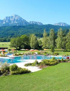 a swimming pool in a park with mountains in the background at Landhaus Fürberger in Anger