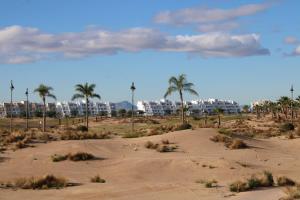 eine Wüste mit Palmen und Gebäuden im Hintergrund in der Unterkunft Las Terrazas De La Torre Golf Resort - Sueño De Los Hermanos in Roldán
