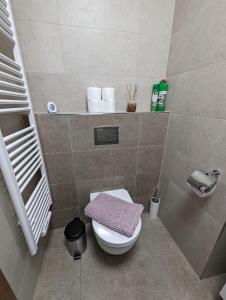 a bathroom with a toilet with a pink towel on it at Zadov - Apartmán Srdce Šumavy in Stachy