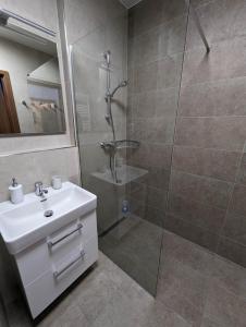 a bathroom with a shower and a sink and a glass shower stall at Zadov - Apartmán Srdce Šumavy in Stachy