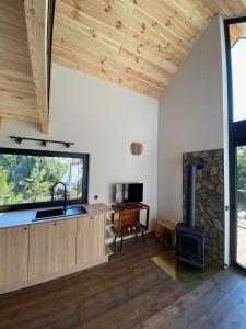 una cucina e un soggiorno con stufa a legna di Mała Holenderka - Lewy Brzeg Narwi a Burlaki