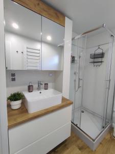 y baño con lavabo y ducha. en Deluxe Apartman Lara, en Liptovské Sliače