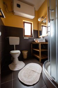 Koupelna v ubytování Apartman Marija 2